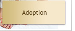 Adoption